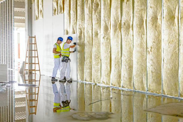 Best Home Insulation Services  in Kingston, PA